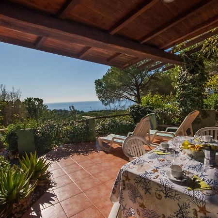 Holiday Home Piccola Oasi-3 By Interhome Capoliveri  Dış mekan fotoğraf
